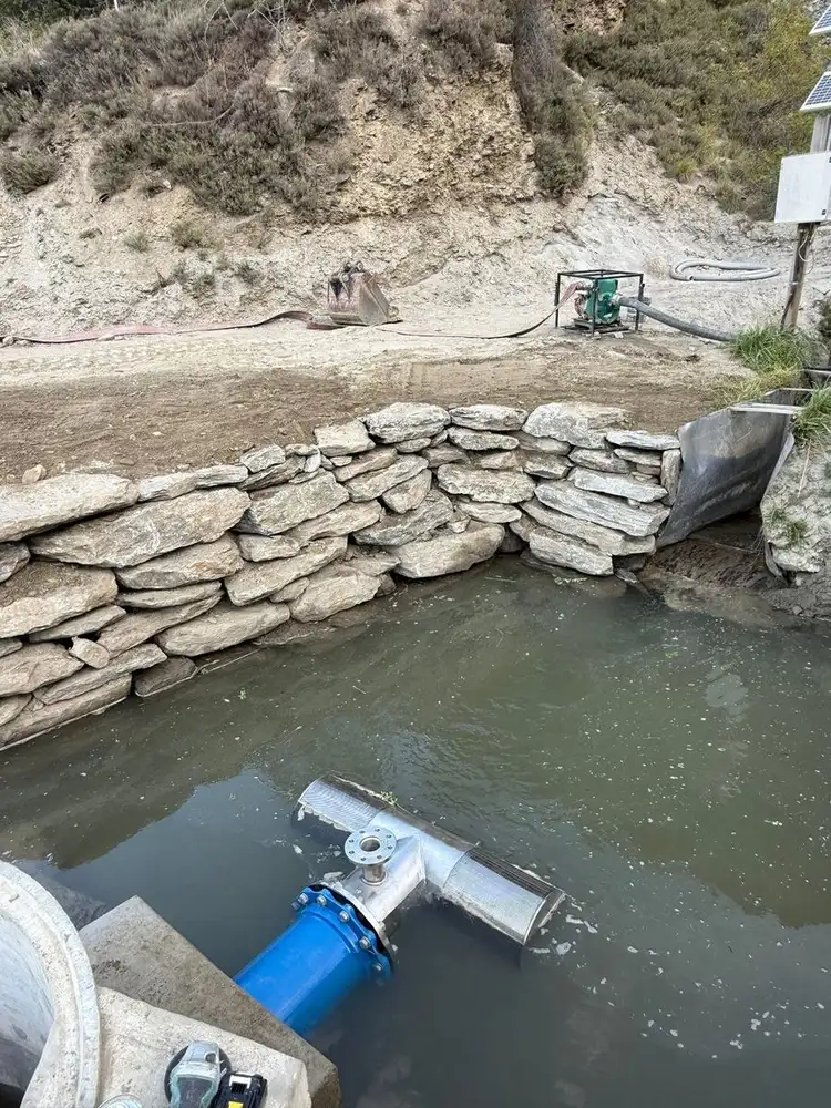 Stainless intake screen on a blue pipe in a pond beside a dry stone wall